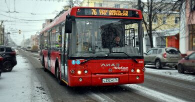 Евраев пообещал наказать виновных в сбое автобусного сообщения в Ярославле
